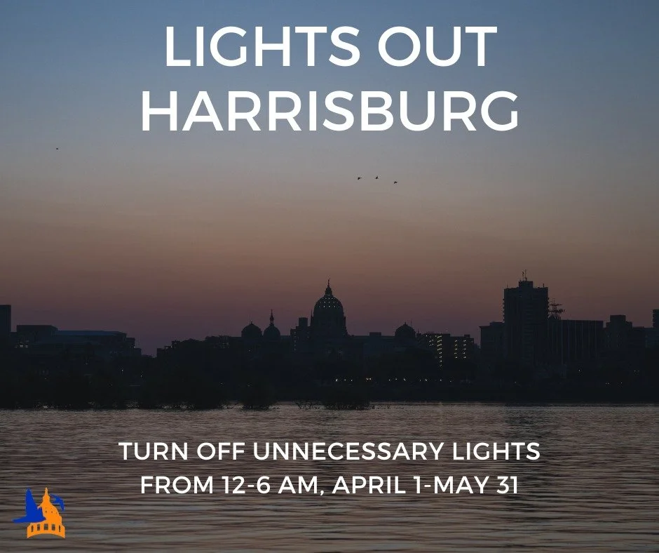 Most migratory birds travel at night, relying on specific sensory cues to navigate. These cues work by using the light emitted by stars or reflected by the moon. Light pollution reduces or eliminates these celestial light sources and can cause birds 