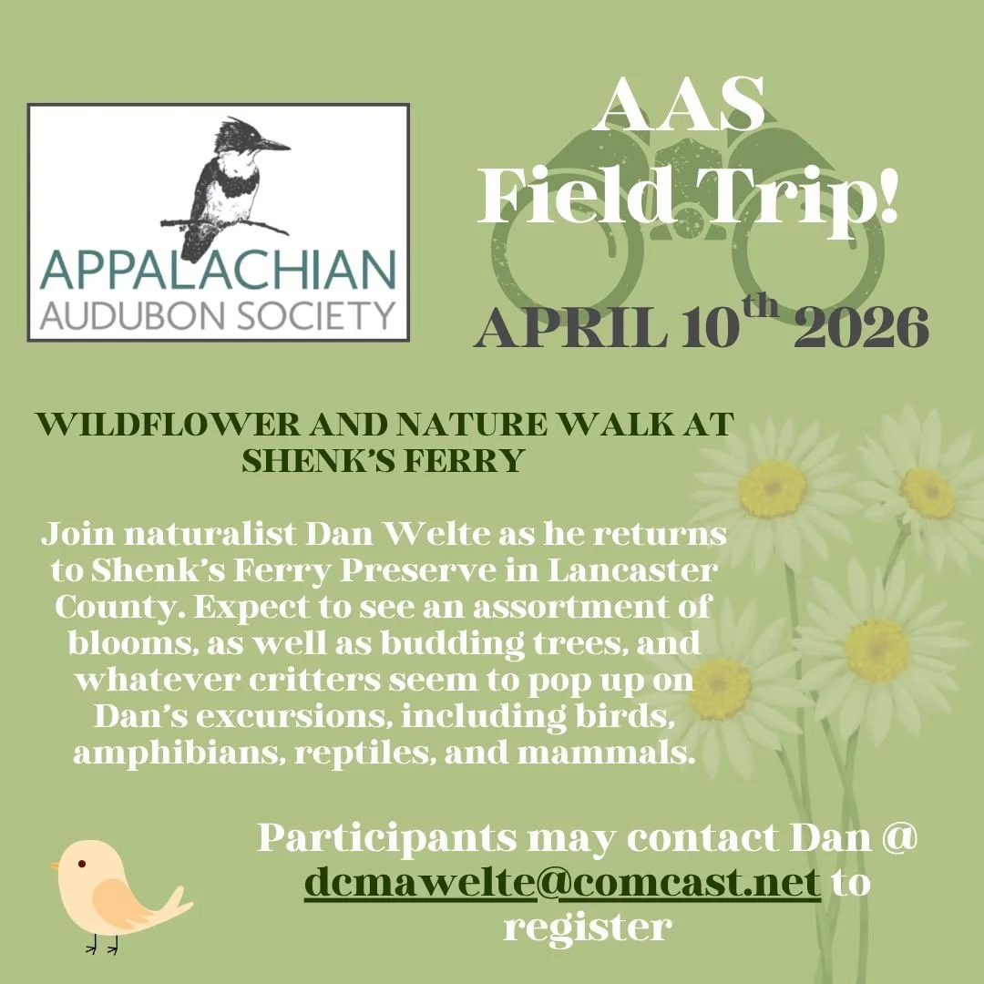 AAS Field Trip 4/10/2026 - THIS FRIDAY 
WILDFLOWER AND NATURE WALK AT SHENK&rsquo;S FERRY
Join naturalist Dan Welte as he returns to Shenk&rsquo;s Ferry Preserve in Lancaster County. Expect to see an assortment of blooms, as well as budding trees, an
