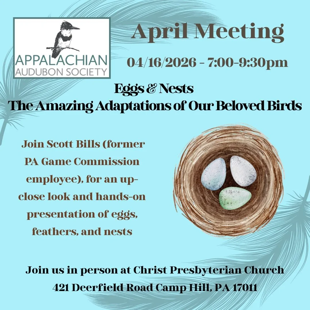APRIL AAS Meeting: 4/16/2026 
Eggs &amp; Nests - The Amazing Adaptations of Our Beloved Birds
Join Scott Bills (former PA Game Commission employee), for an up-close look and hands-on presentation of eggs, feathers, and nests 
Check out: https://www.a