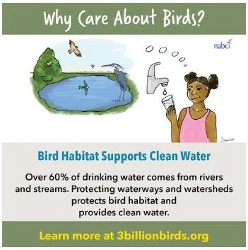 Bird Friendly Communities — Appalachian Audubon Society