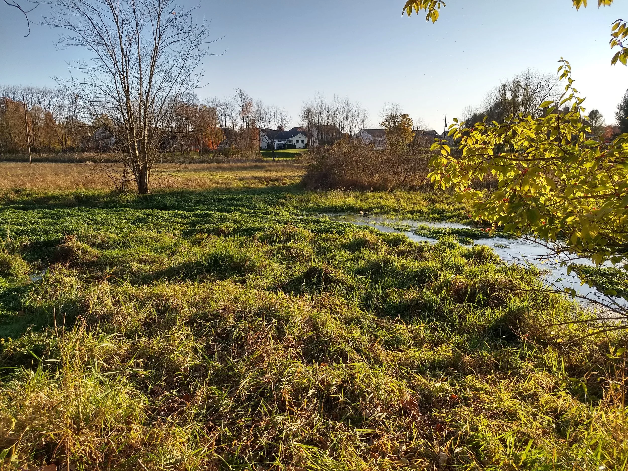 Trout Run — Appalachian Audubon Society
