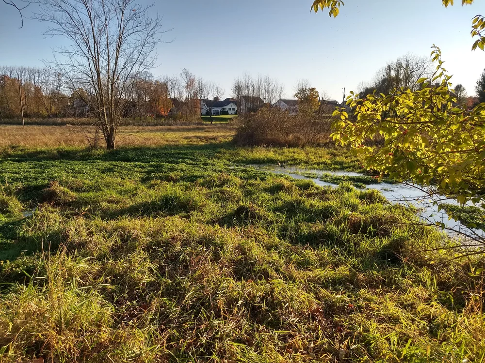 Trout Run — Appalachian Audubon Society