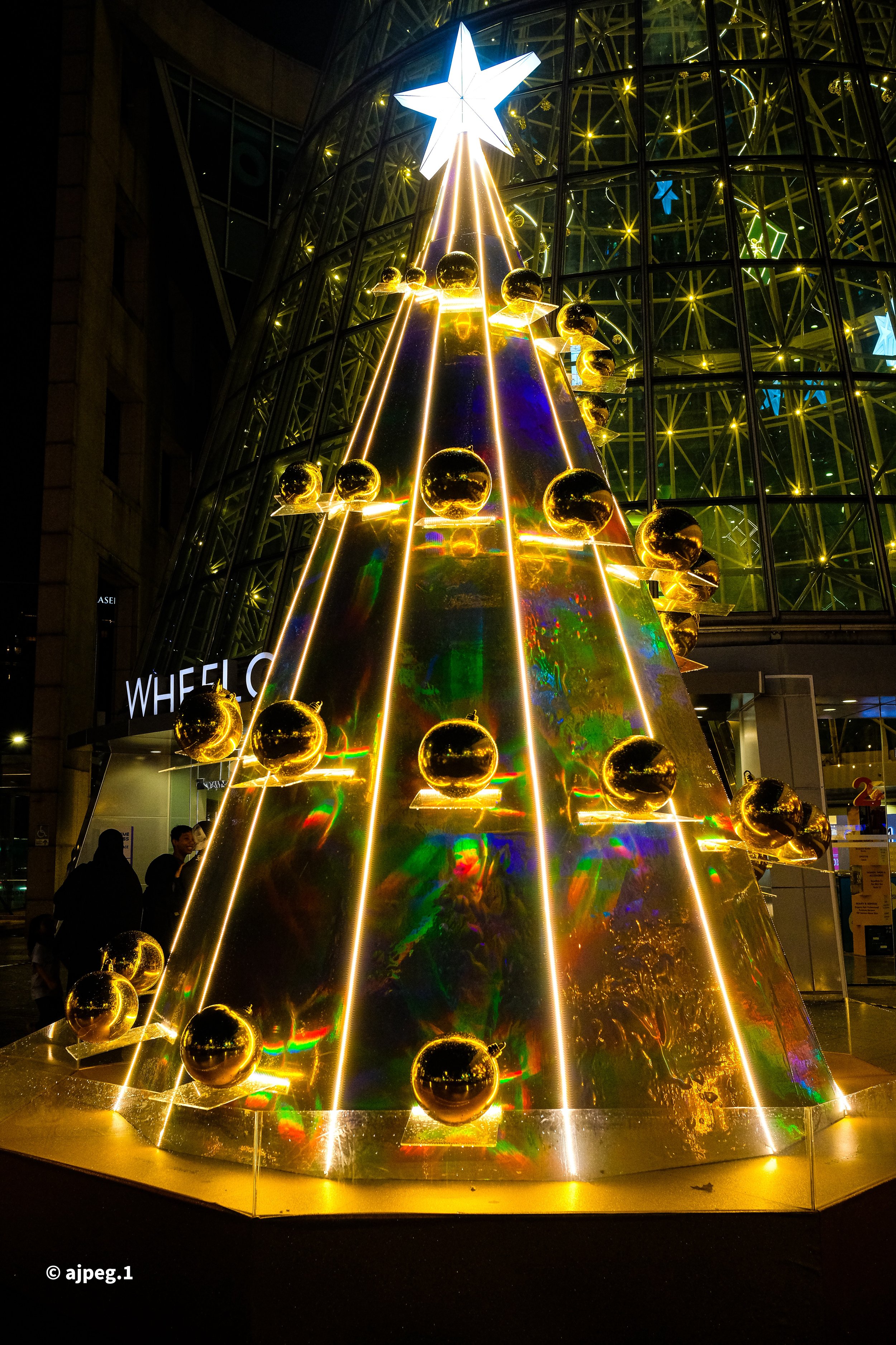 DSCF3131.JPG