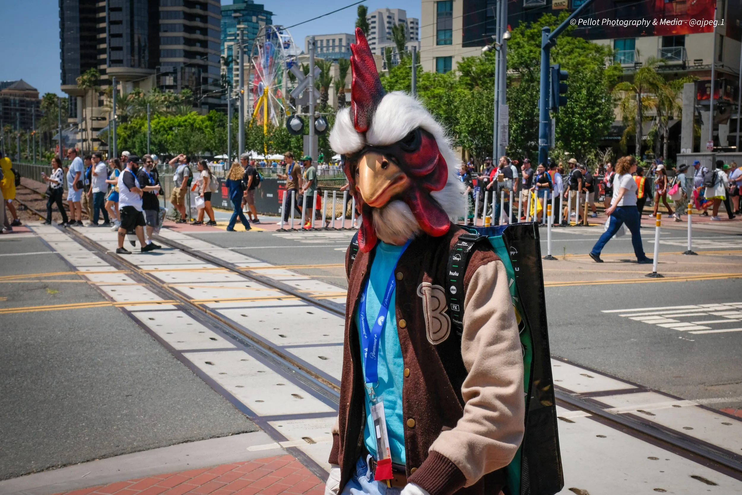 DSCF8333.jpg