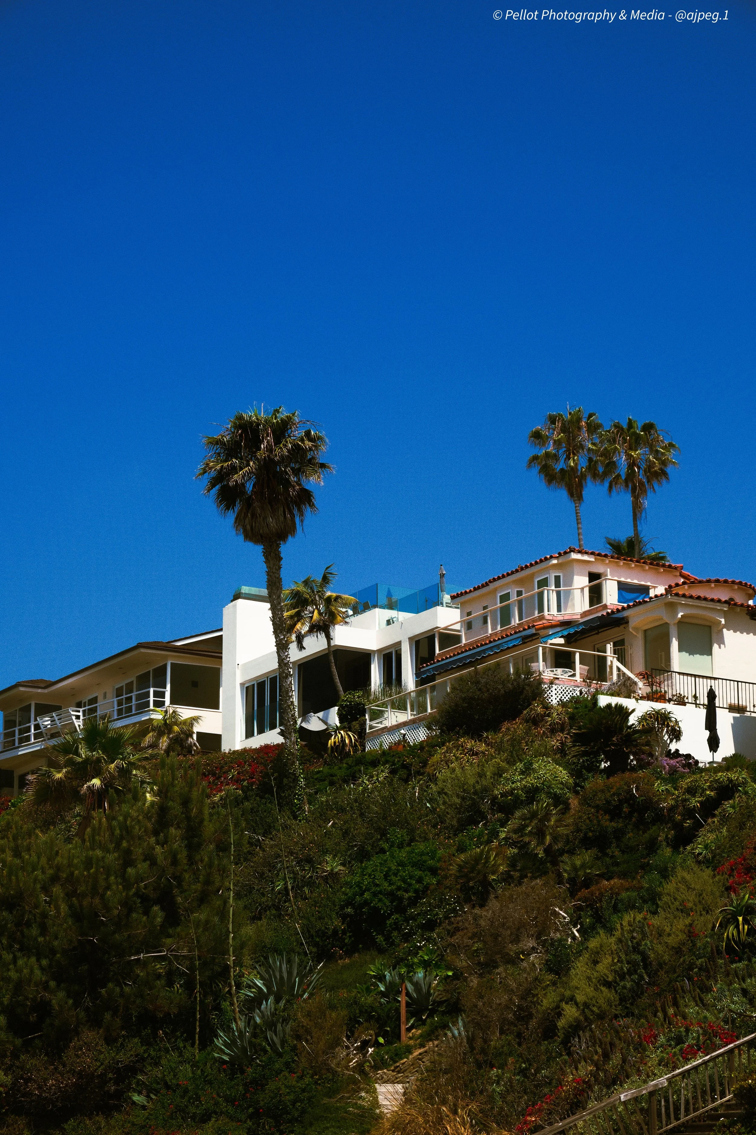 Laguna Beach, 2025 (Fujifilm XH2)