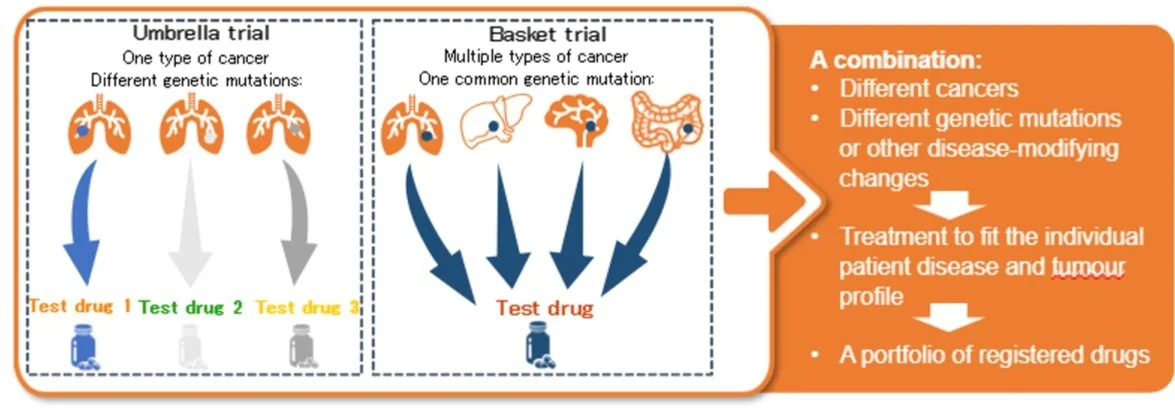 FOCU·SE — Testbed Sweden Precision Health Cancer
