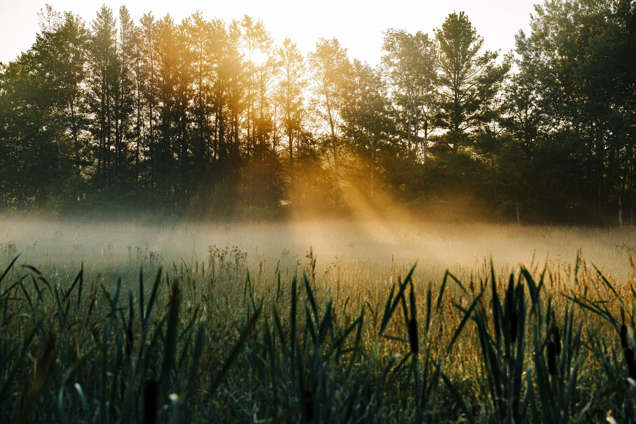 The Reward of Welcome