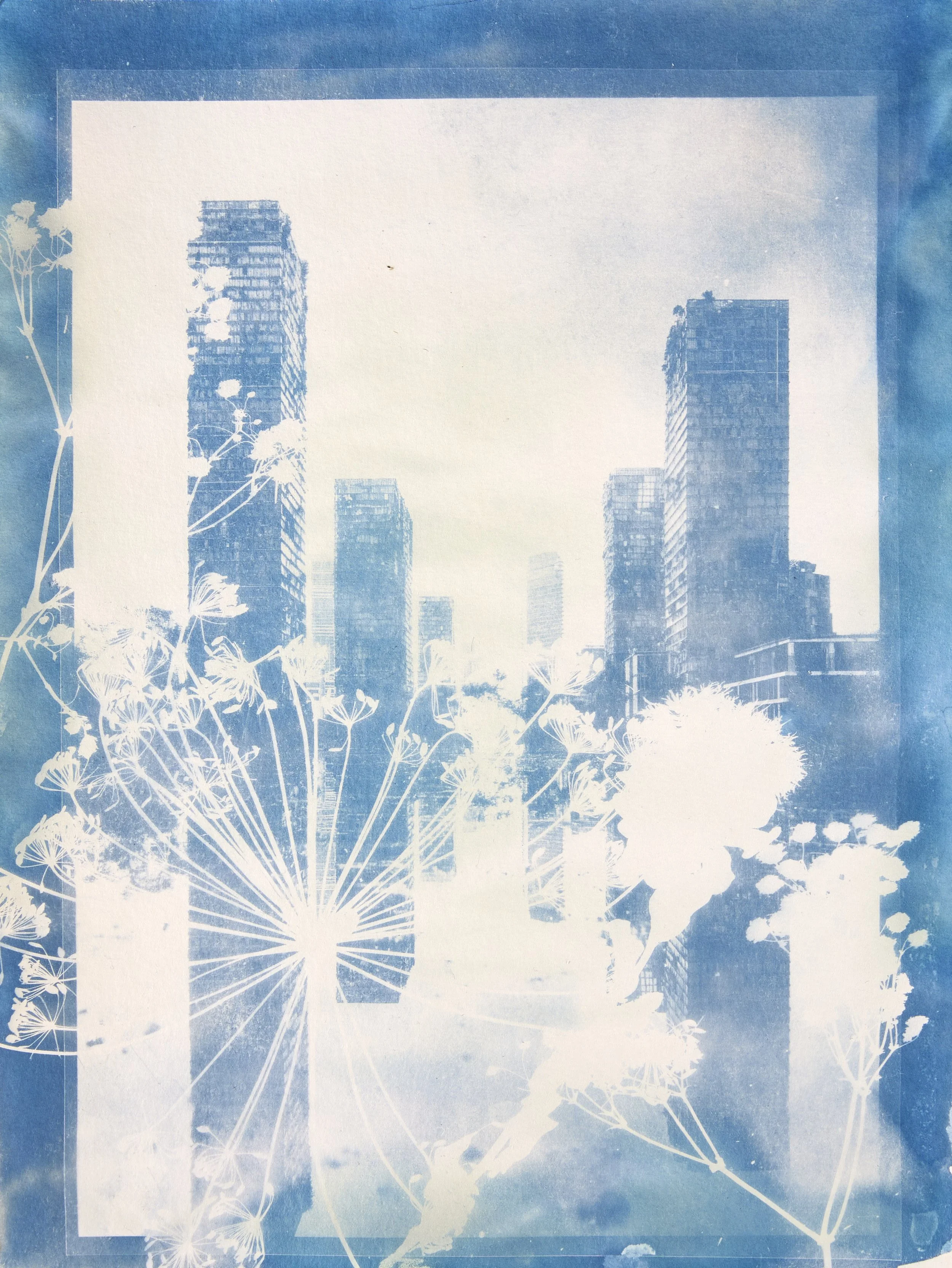 Urban Flora - 2025