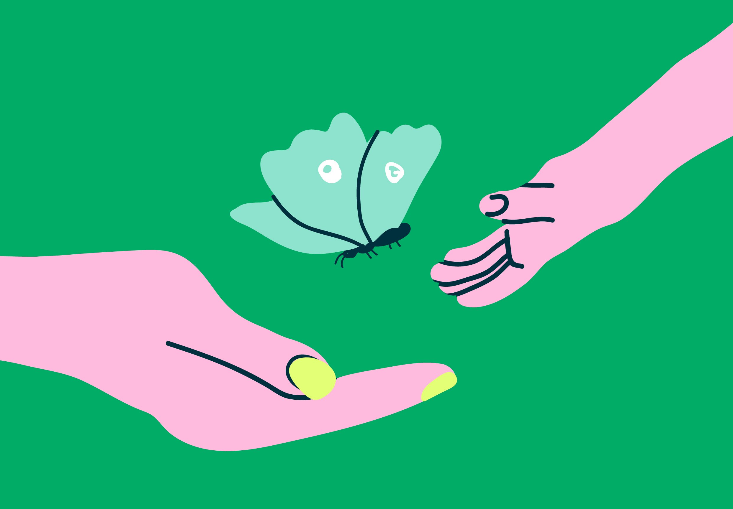 Cuidados alternativos