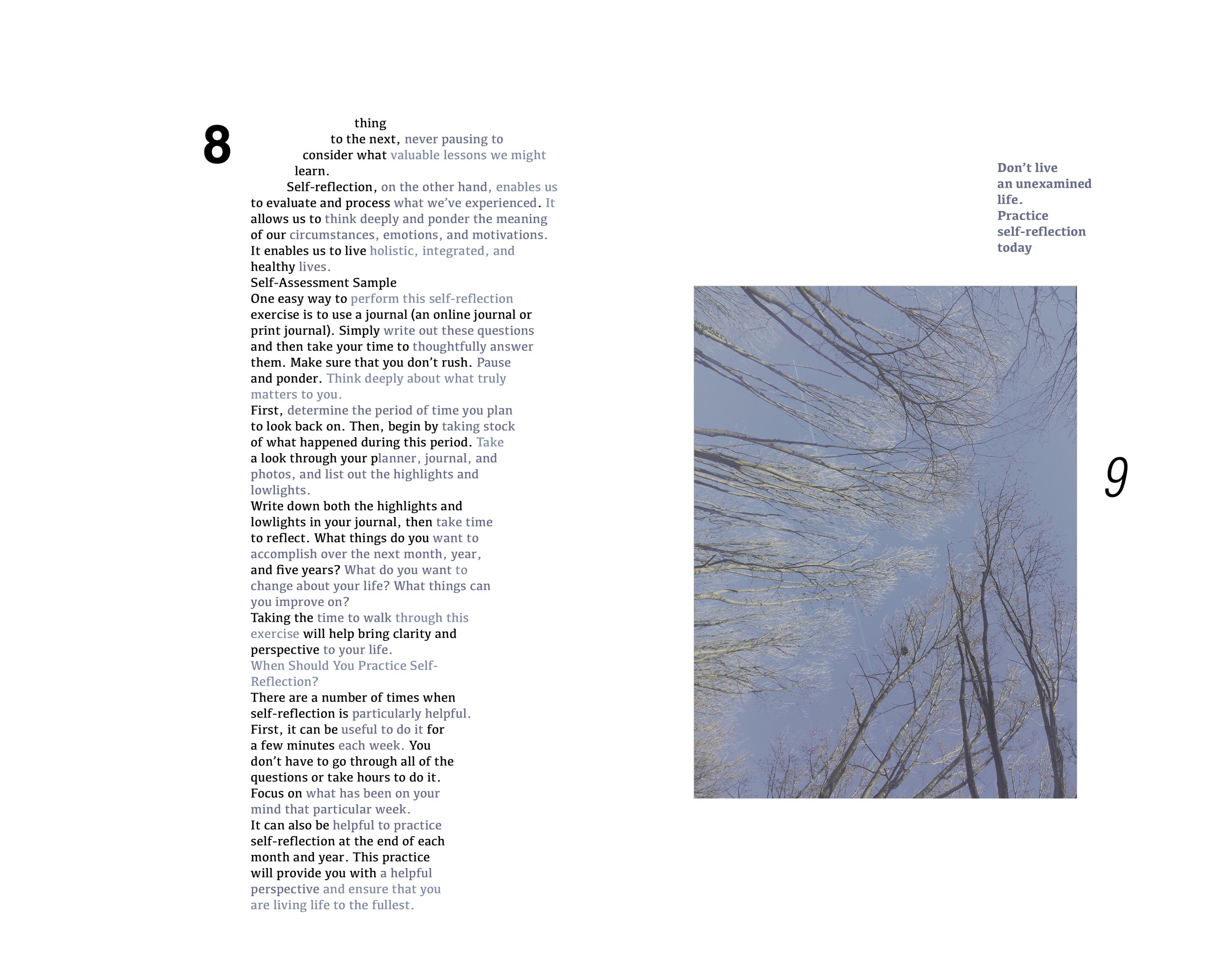 Деревья и их отражения_V55.jpg