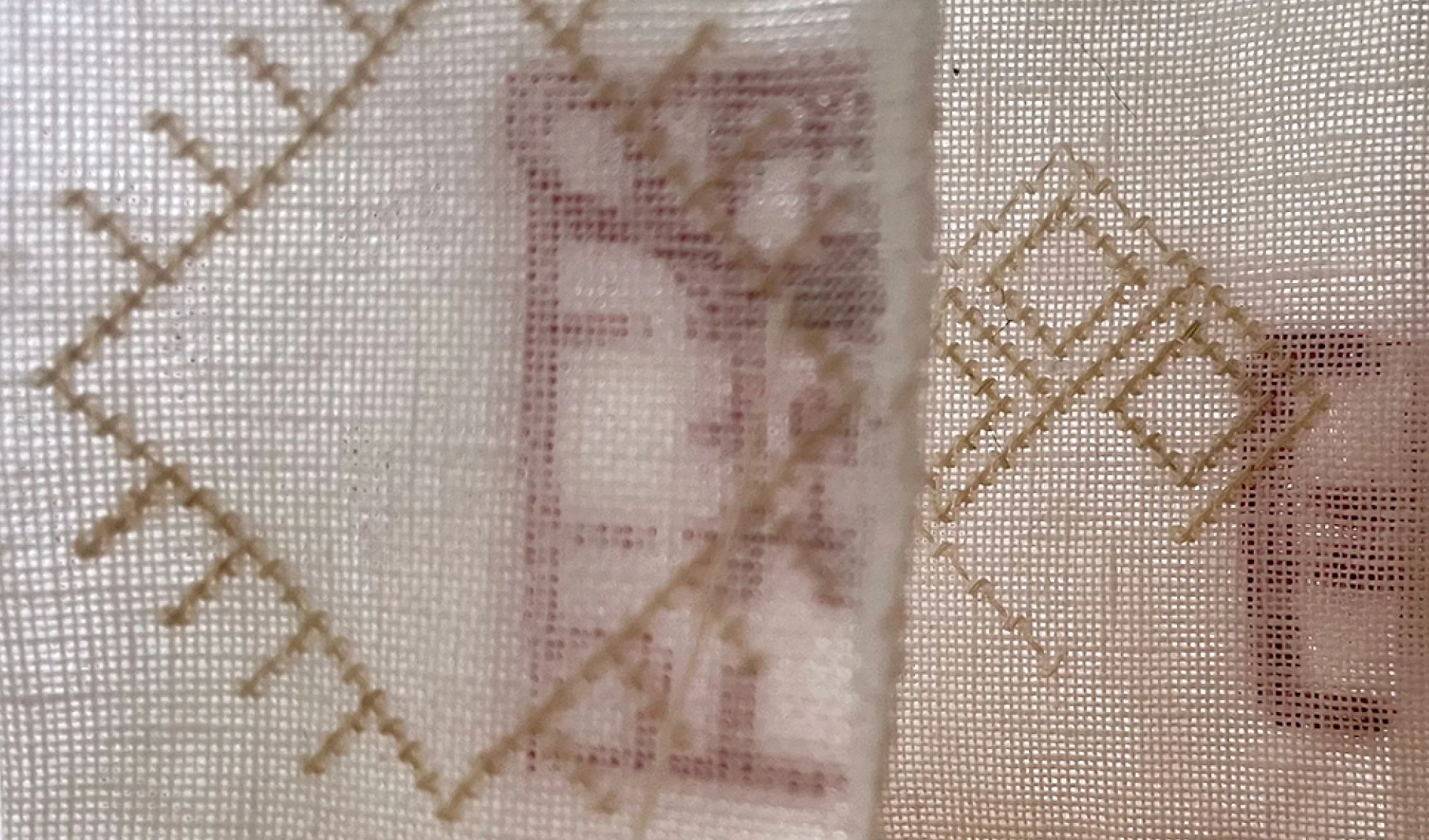 Теория выжшивания_final12.jpg