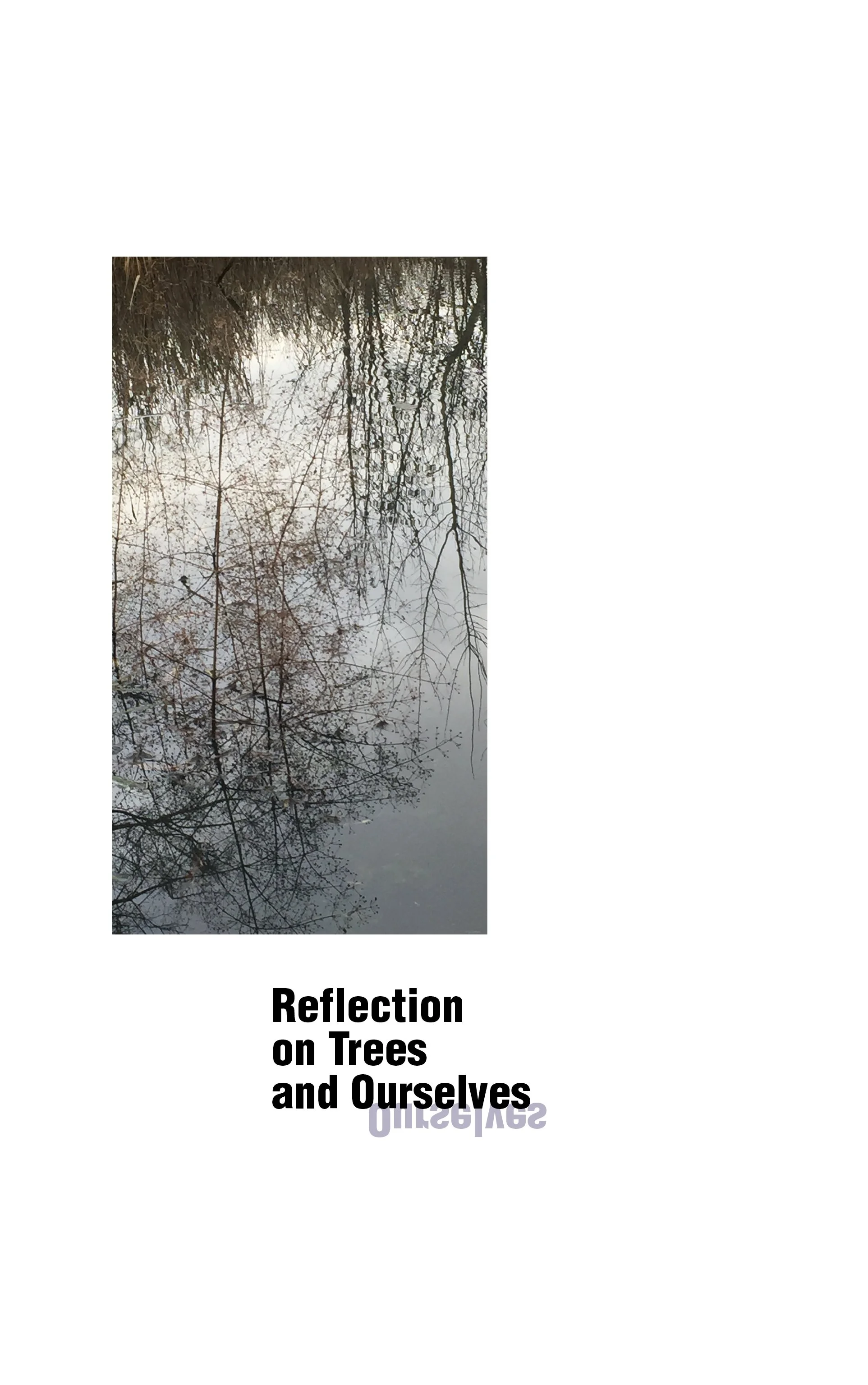 Деревья и их отражения_V5.jpg