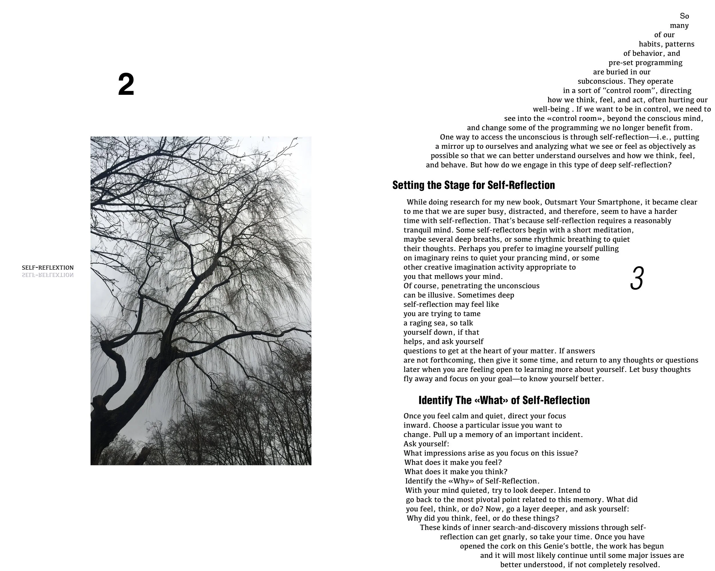 Деревья и их отражения_V52.jpg