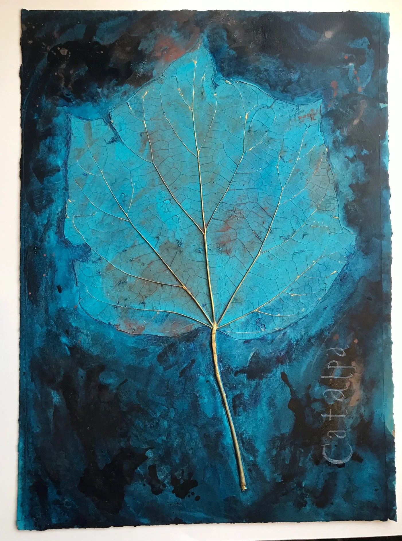 Felicity Roma Bowers