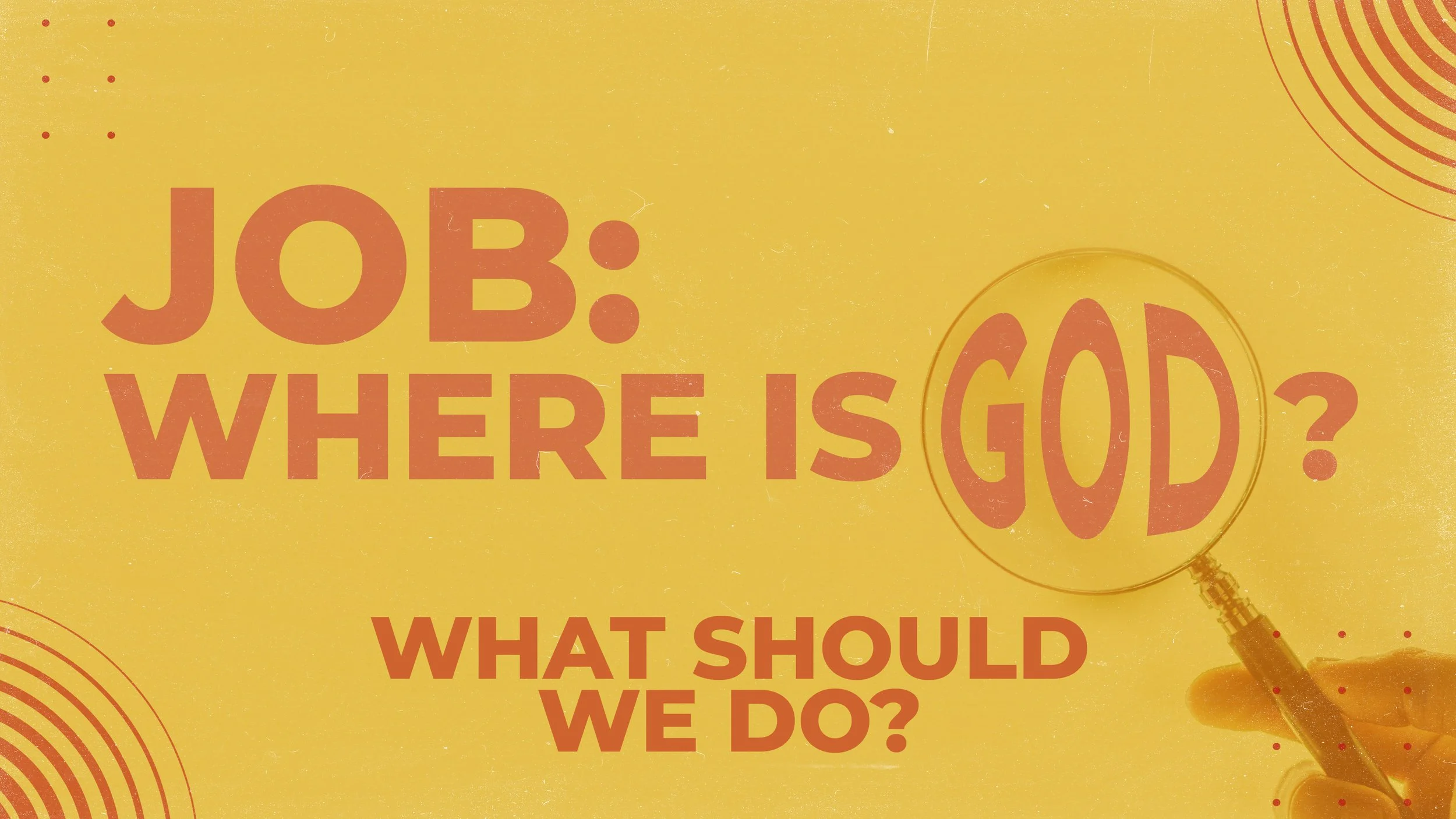 What Should We Do? (Job 29-31)