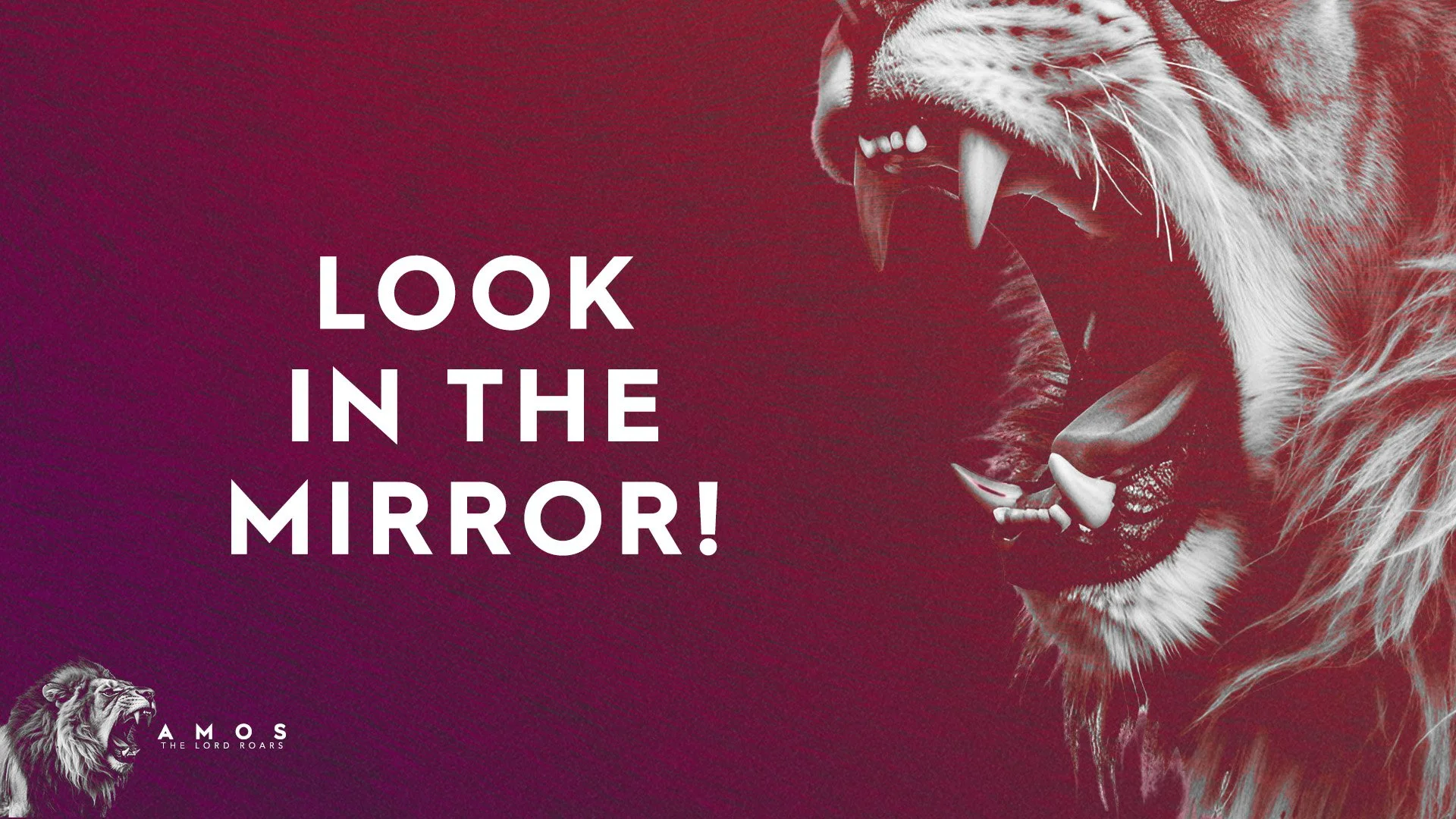 Look In The Mirror! (Amos 1-2)