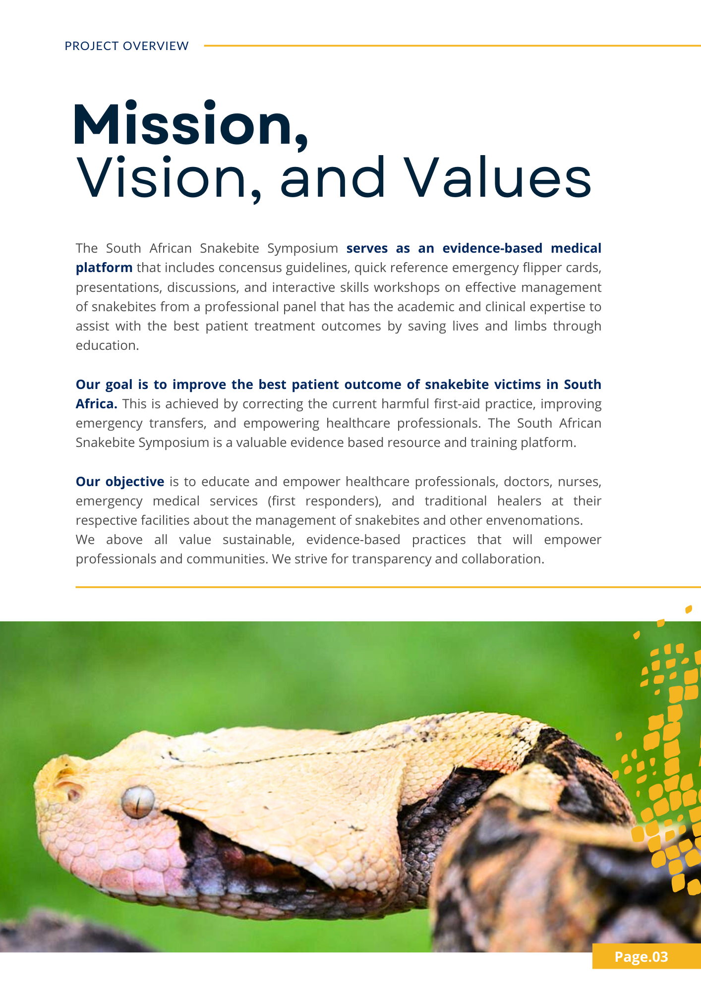 Mission, Vision, and Values

The South African Snakebite Symposium serves as an evidence-based medical platform that includes concensus guidelines, quick reference emergency flipper cards, presentations, discussions, and interactive skills workshops 