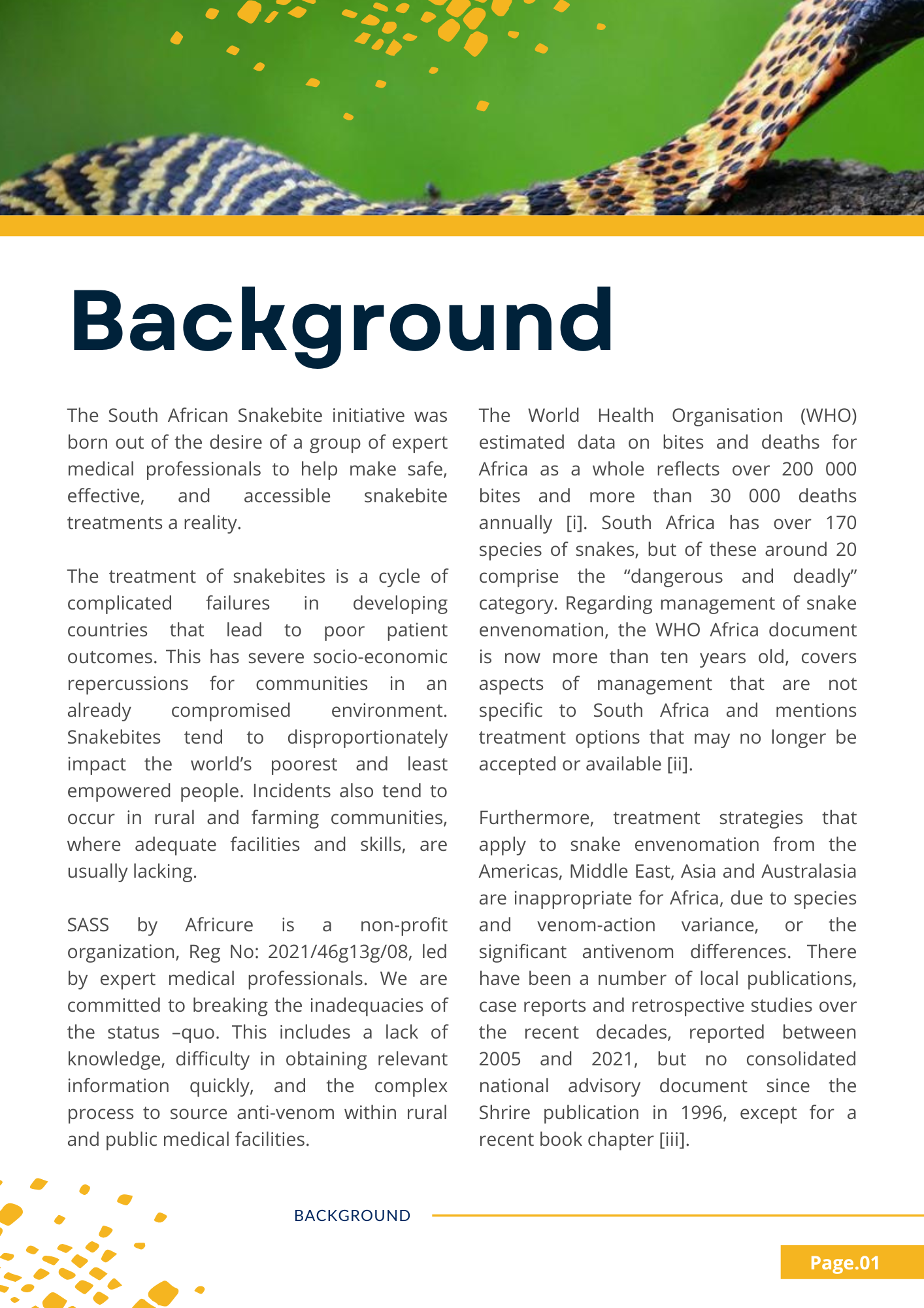Background

The South African Snakebite initiative was born out of the desire of a group of expert medical professionals to help make safe, effective, and accessible snakebite treatments a reality.

The treatment of snakebites is a cycle of complicat