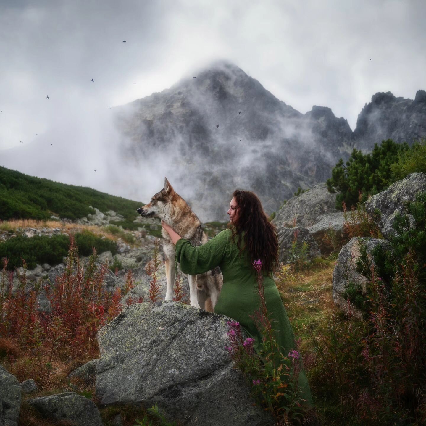 ZA TATRY SO PSOM 🐾

Mnoh&eacute; moje fotografie by nevznikali, keby v na&scaron;ich slovensk&yacute;ch Tatr&aacute;ch bol zak&aacute;zan&yacute; vstup so psom odkedy tu viac než 10 rokov žijem. V Tatr&aacute;ch som sa zranila a bolo dlh&eacute; obd