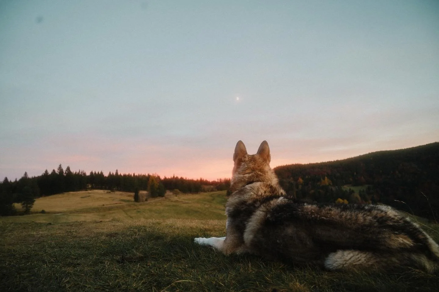 Nov&eacute; video v nedeľu o 9:00 😍