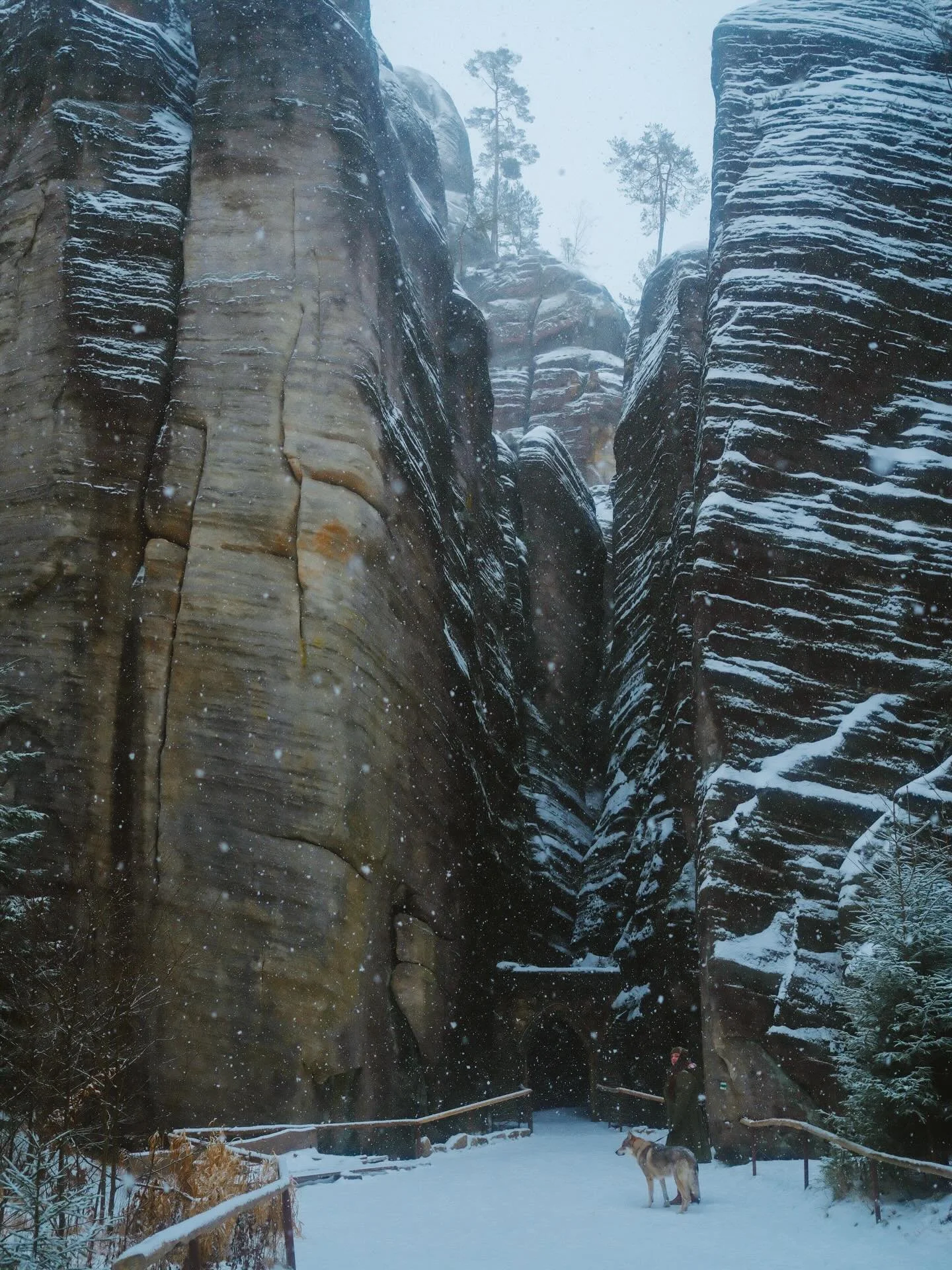 Pozdravujeme v&aacute;s z Narnie a prajeme v&aacute;m rok pln&yacute; svetla, fant&aacute;zie a &uacute;žasn&yacute;ch dobrodružstiev 🐺✨