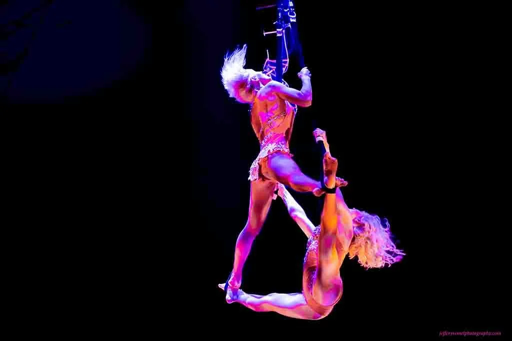 circus Assembly--16.jpg