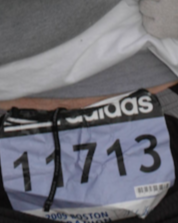 The Bibs
