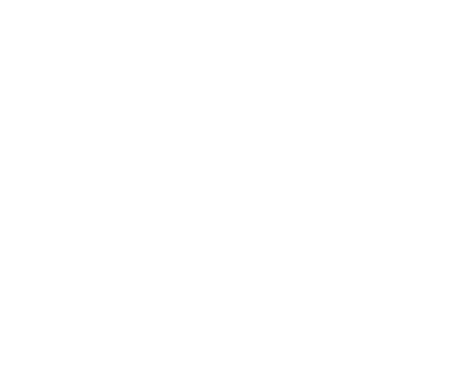 Celebraids