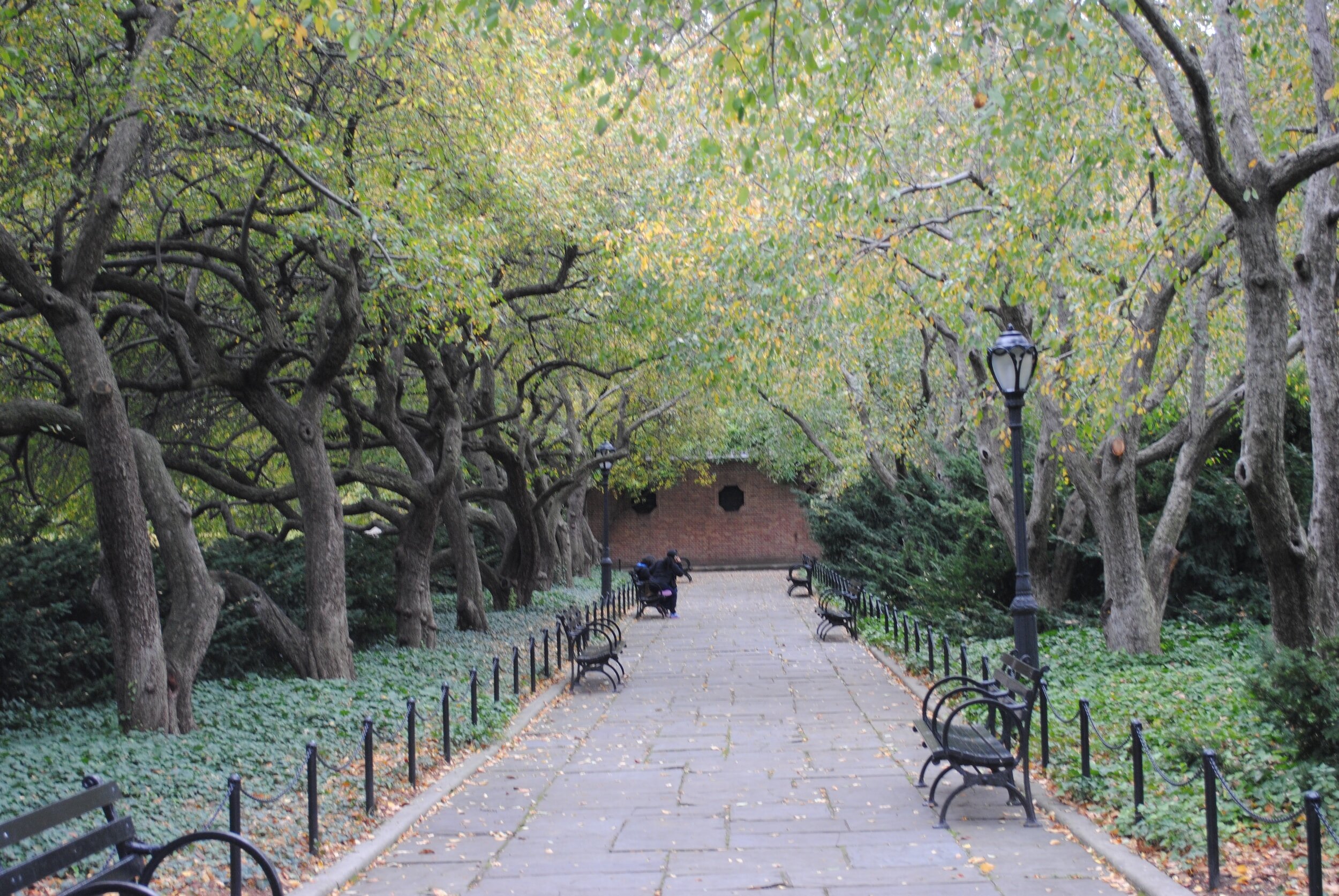 Central Park Gardens