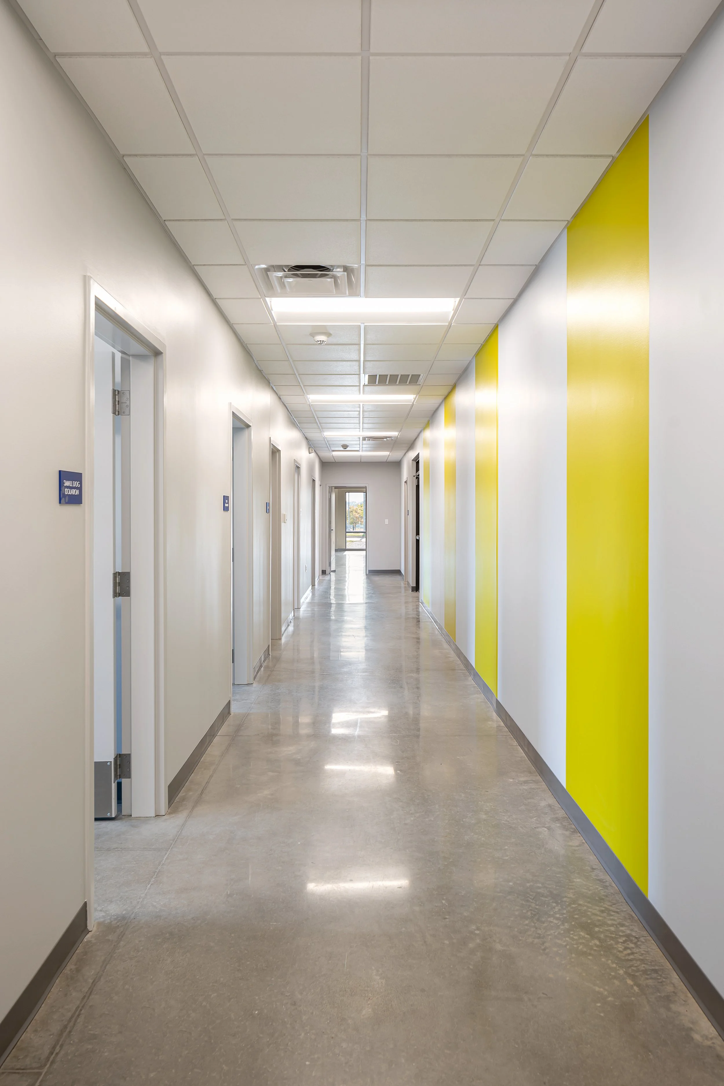 Olive Branch Animal Shelter-15.jpg