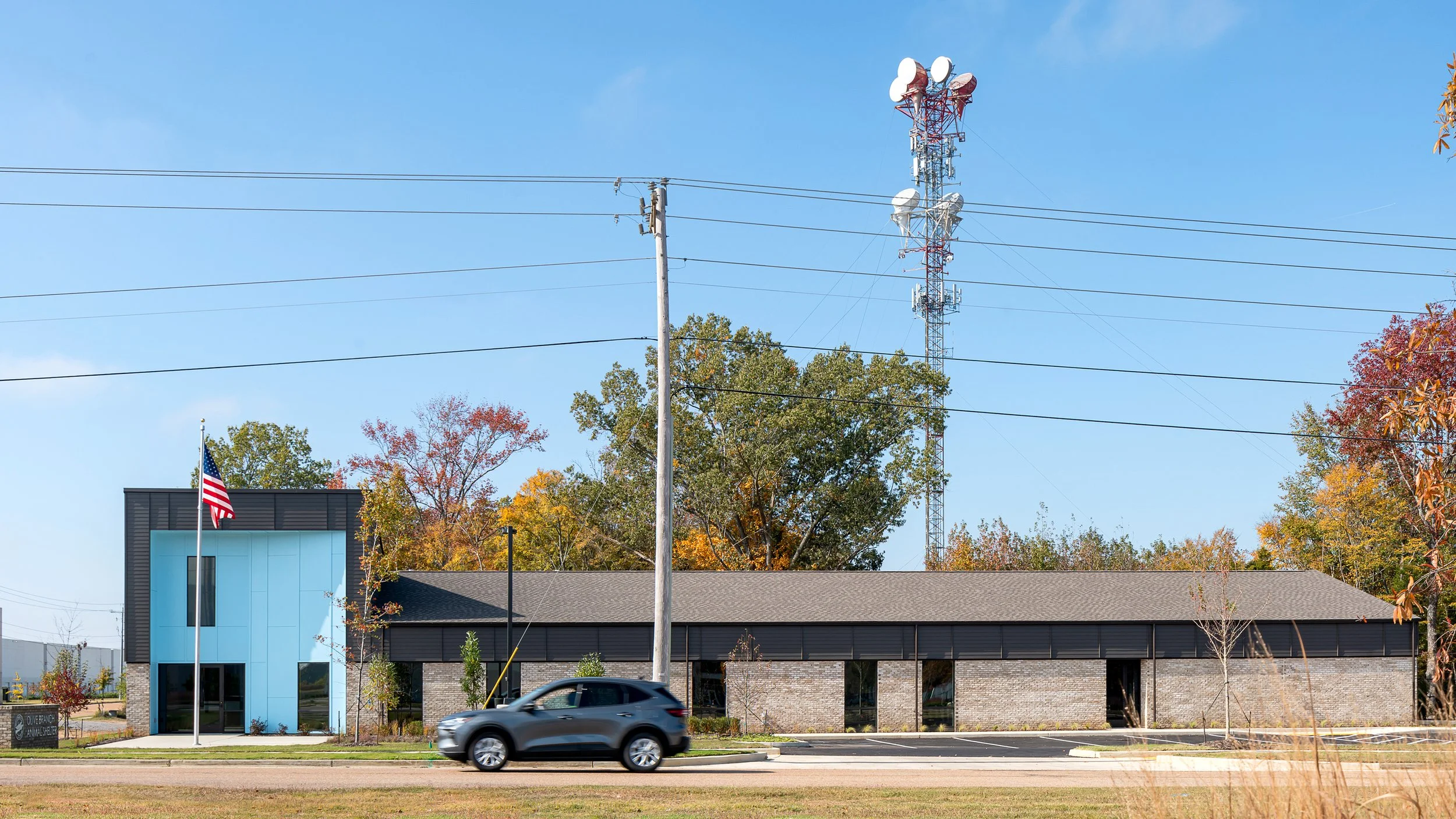 Olive Branch Animal Shelter-6.jpg