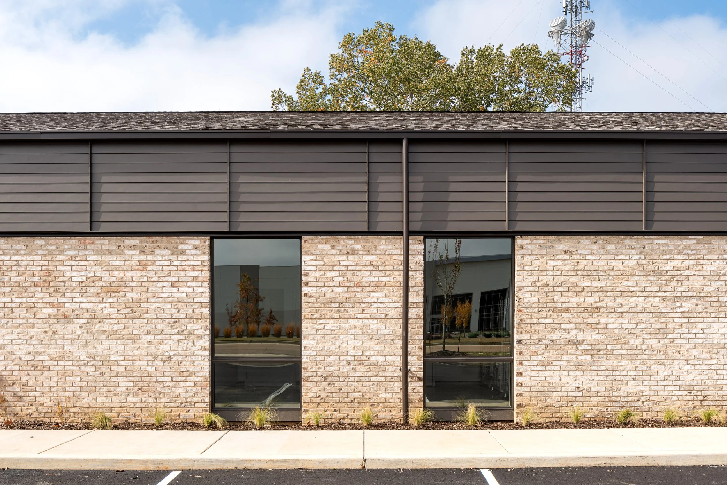 Olive Branch Animal Shelter-2.jpg