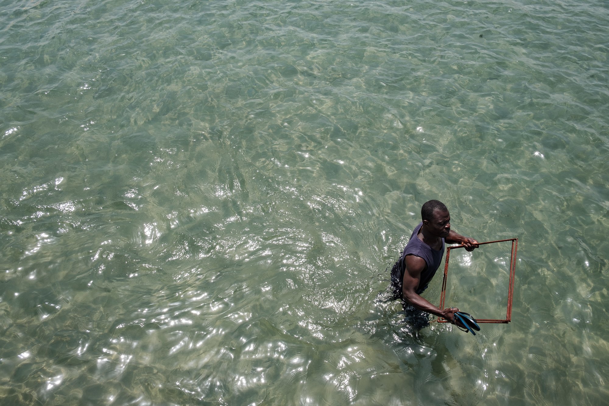  Mapping the World’s Seagrass 