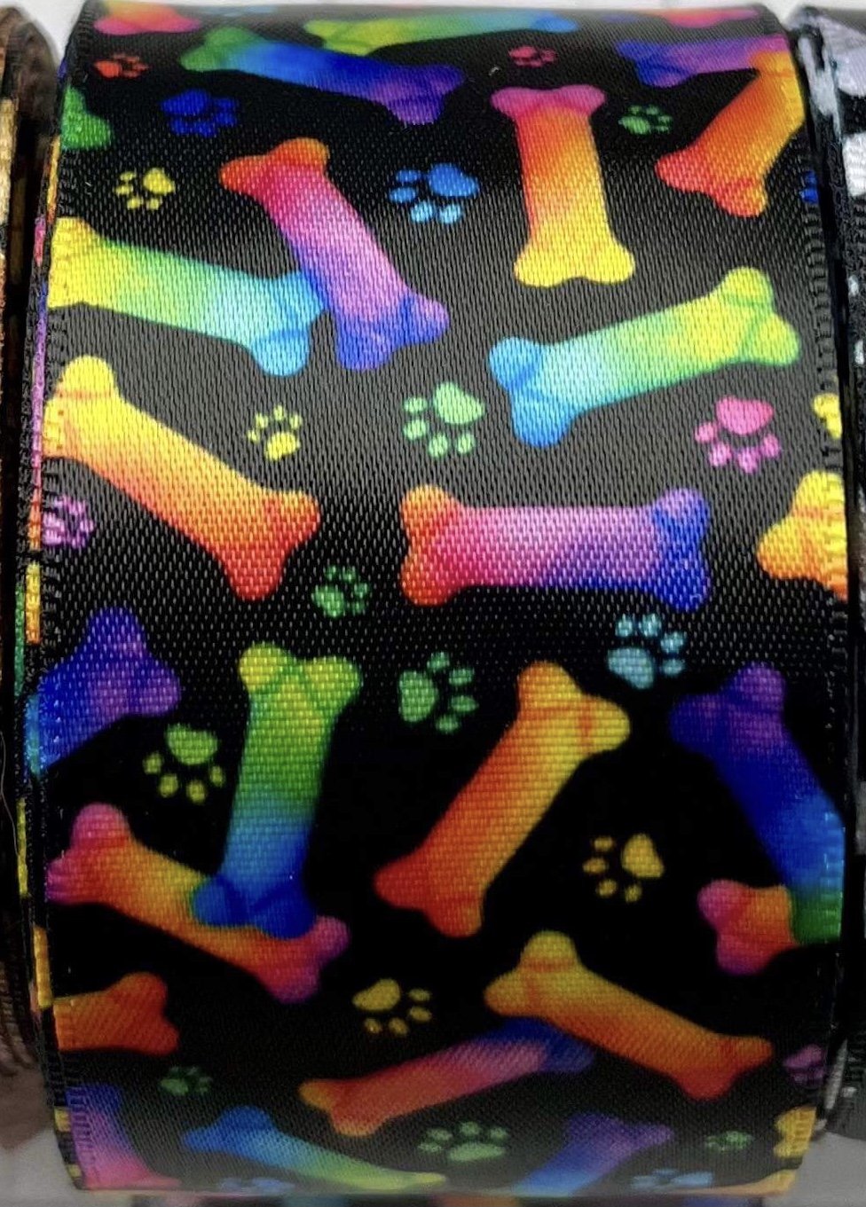 Rainbow Bones