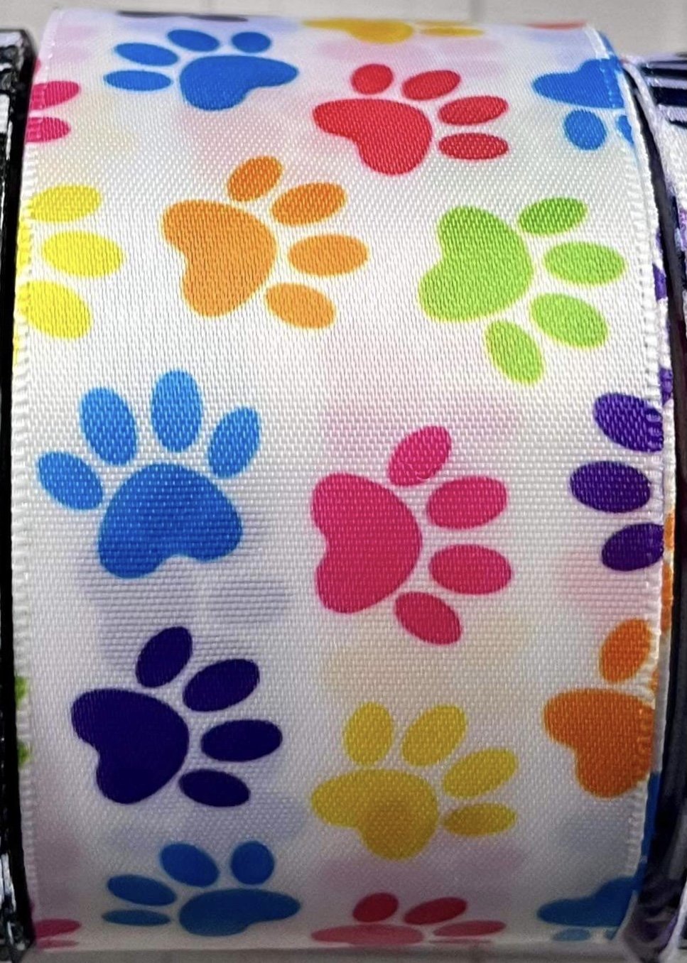 Rainbow Pawprints