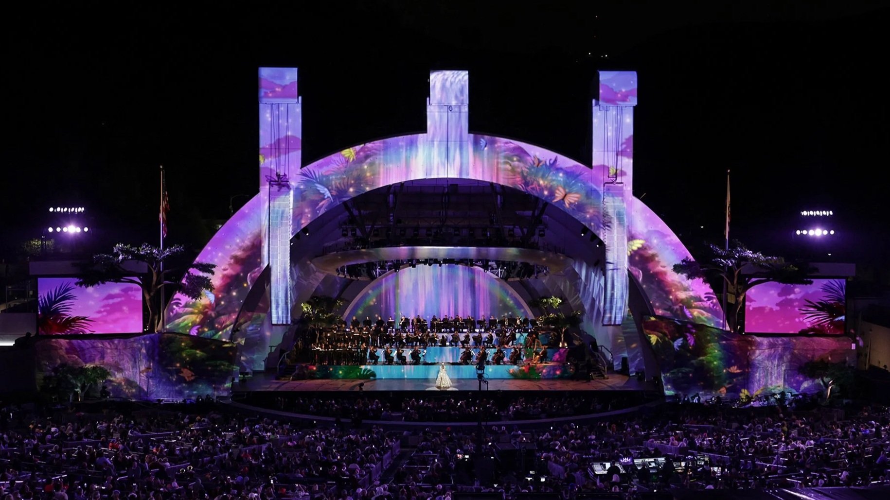 DISNEY’S THE LION KING