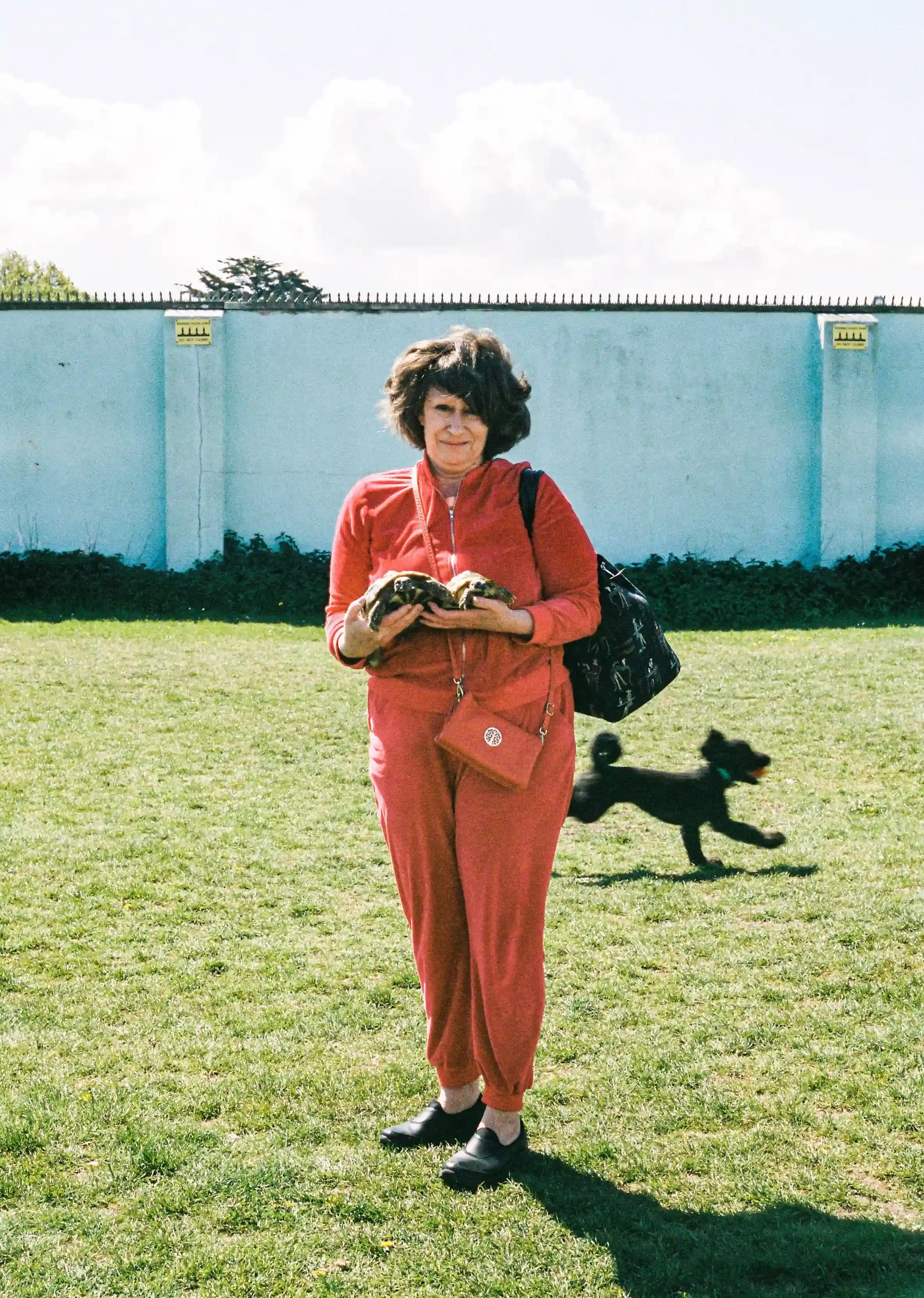 A woman in a bright red tracksuit standing on a grassy field in Portishead, holding two small tortoises in her hands while a black dog runs in the background, by Matthew Morgan.