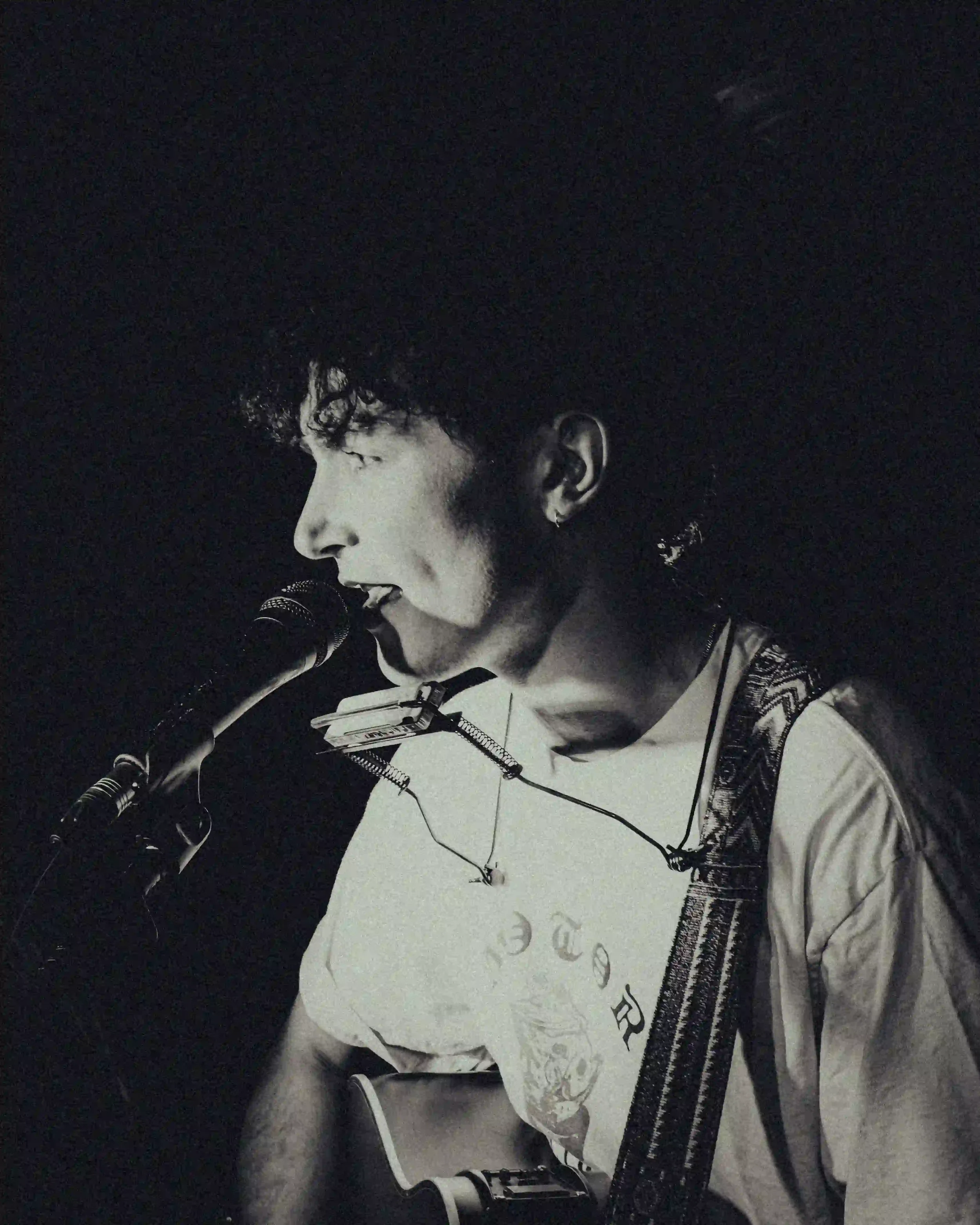 An atmospheric black-and-white profile shot of Ned Holland performing live at The Troubadour. He is illuminated by a sharp side-light that highlights his face and the harmonica rack around his neck as he sings into a dark microphone. He is wearing a 