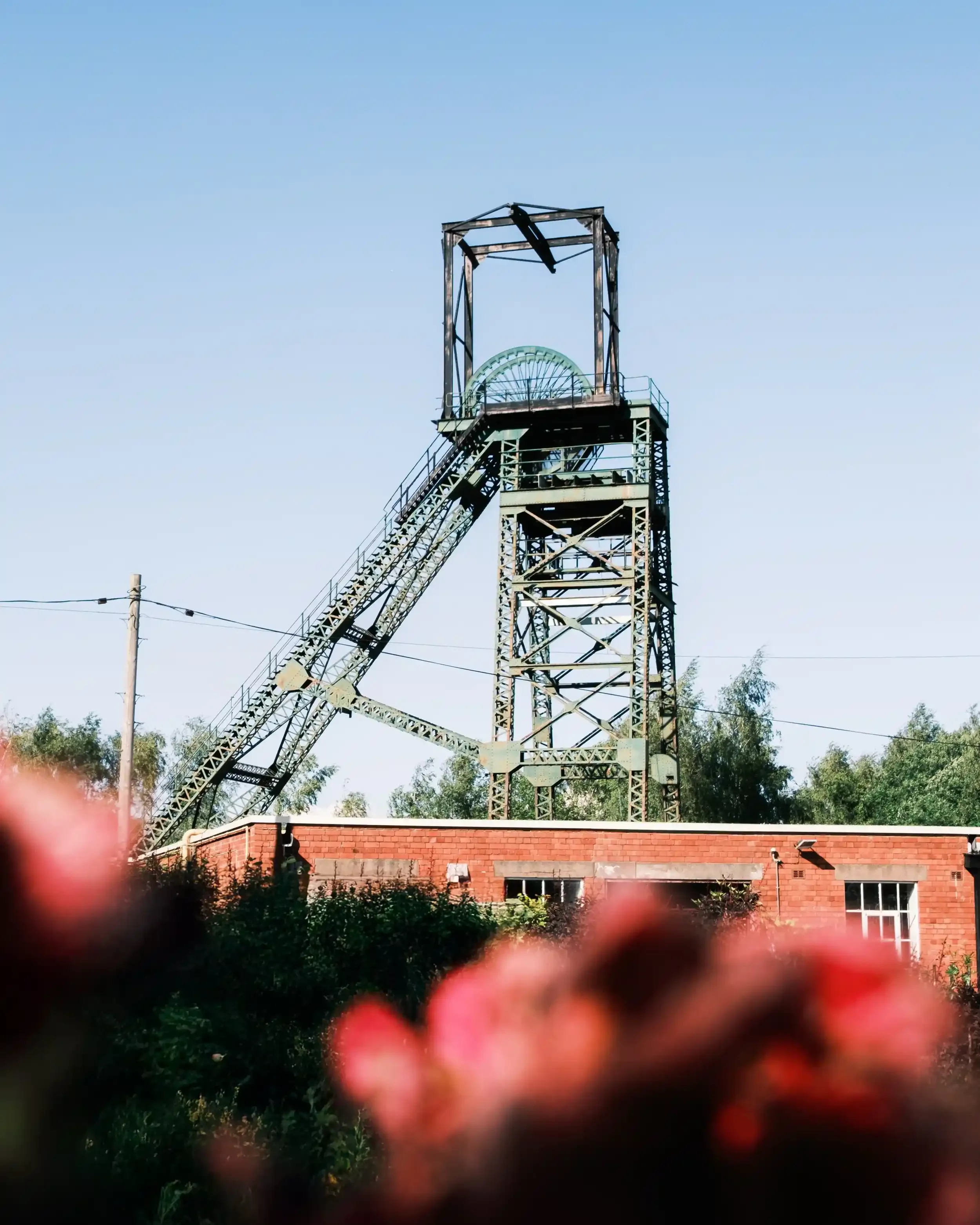 A tall, green steel mining headframe stands prominently against a bright, cloudless blue sky. In the foreground, a single-story red brick industrial building is visible behind a layer of blurred pink flowers and green foliage. This historic site at t