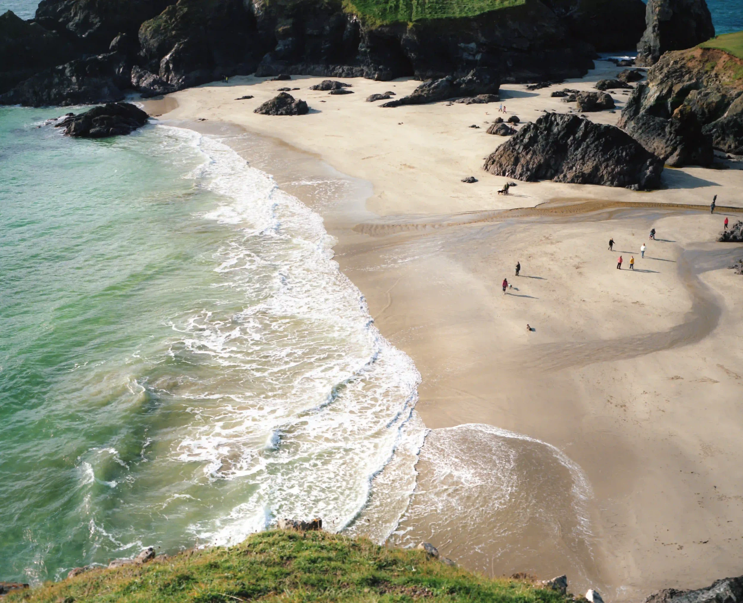 A high-angle vista of Kynance Cove in Cornwall, showing vibrant turquoise waves with white sea foam washing onto a pale sandy beach. Dark, jagged rock formations rise from the sand, and several small figures and dogs are scattered across the shore, f