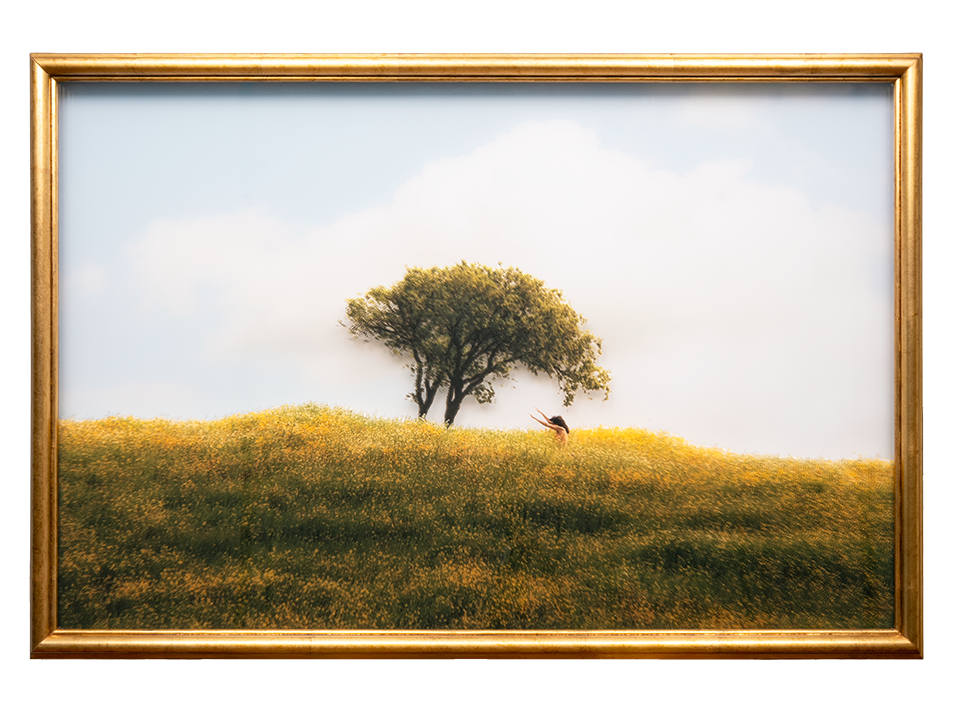 Desassossego Atual(izado)