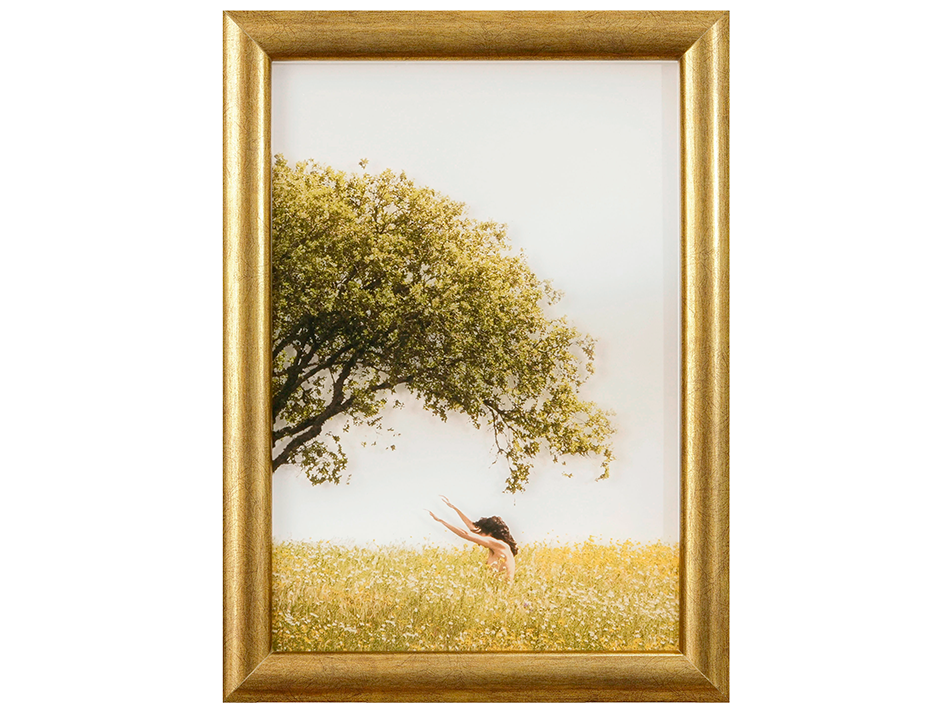 Desassossego Atual(izado)  - Artist Proof