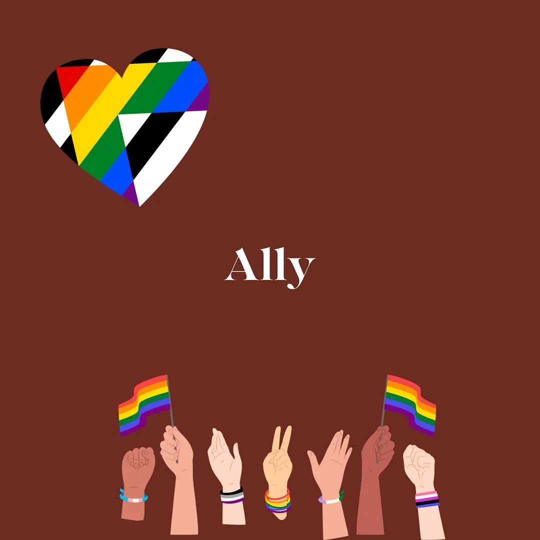 Ally steht f&uuml;r &bdquo;Verb&uuml;ndete&ldquo; 

Der Begriff wird f&uuml;r Menschen verwendet, die sich f&uuml;r marginalisierte oder diskriminierte Gruppen einsetzen, besonders, wenn sie selbst nicht dazu geh&ouml;ren. 
Es gibt zum Beispiel Allys