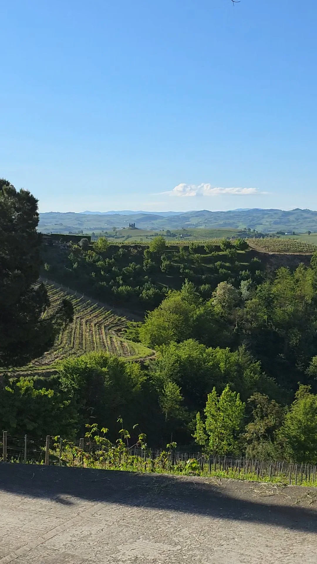 Rolling hills of Monferrato and Langhe in Piemonte, Italy