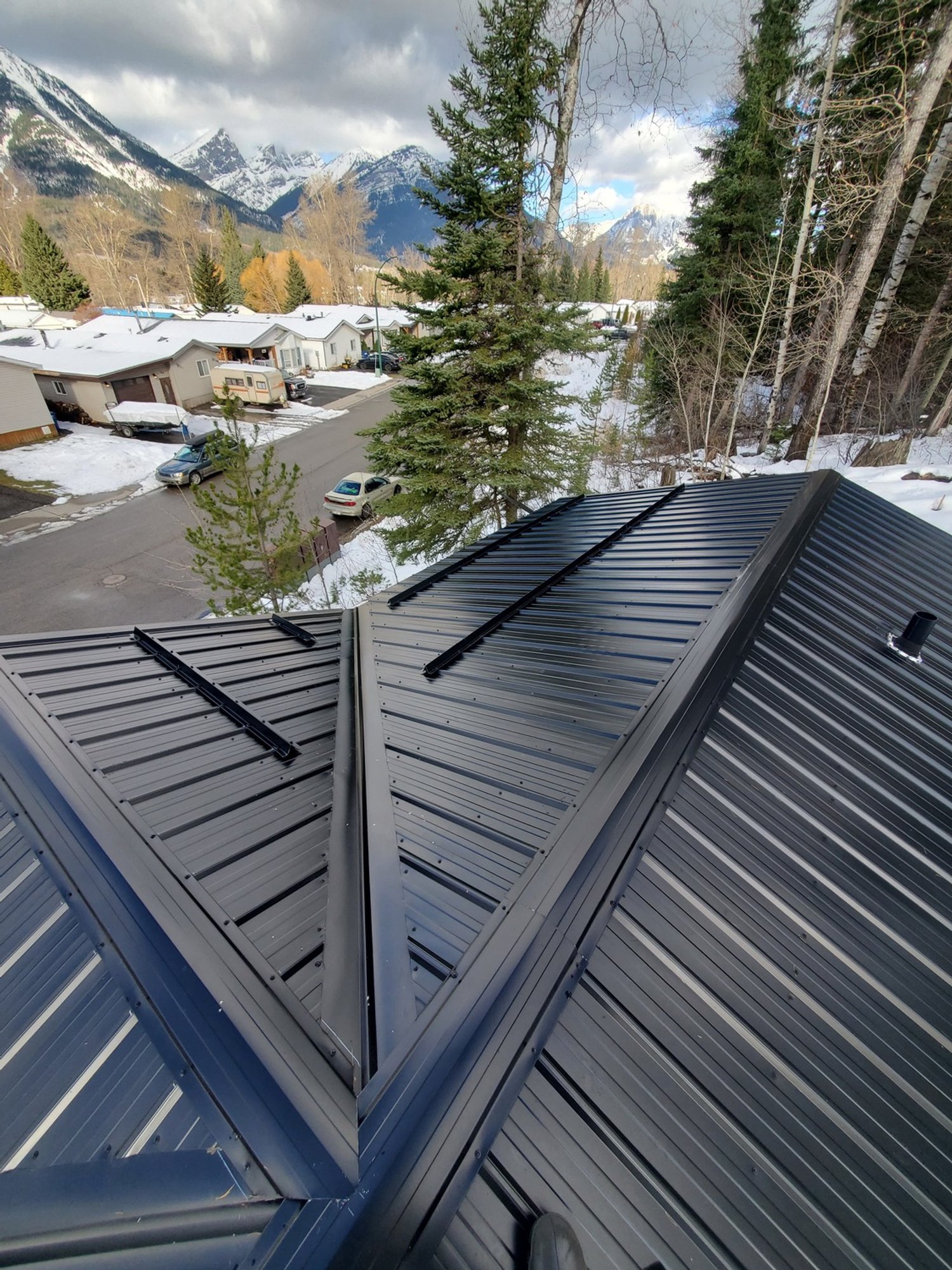 Birdhouse Roofing - Forma Steel I9 Metal Roof with Snow Bars