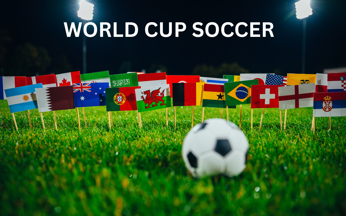WORLD CUP SOCCER - USA v BOSNIA AND HERZEGOVINA