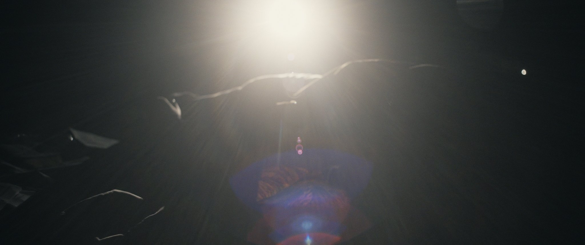 Still 2026-01-19 132947_1.229.1.jpg