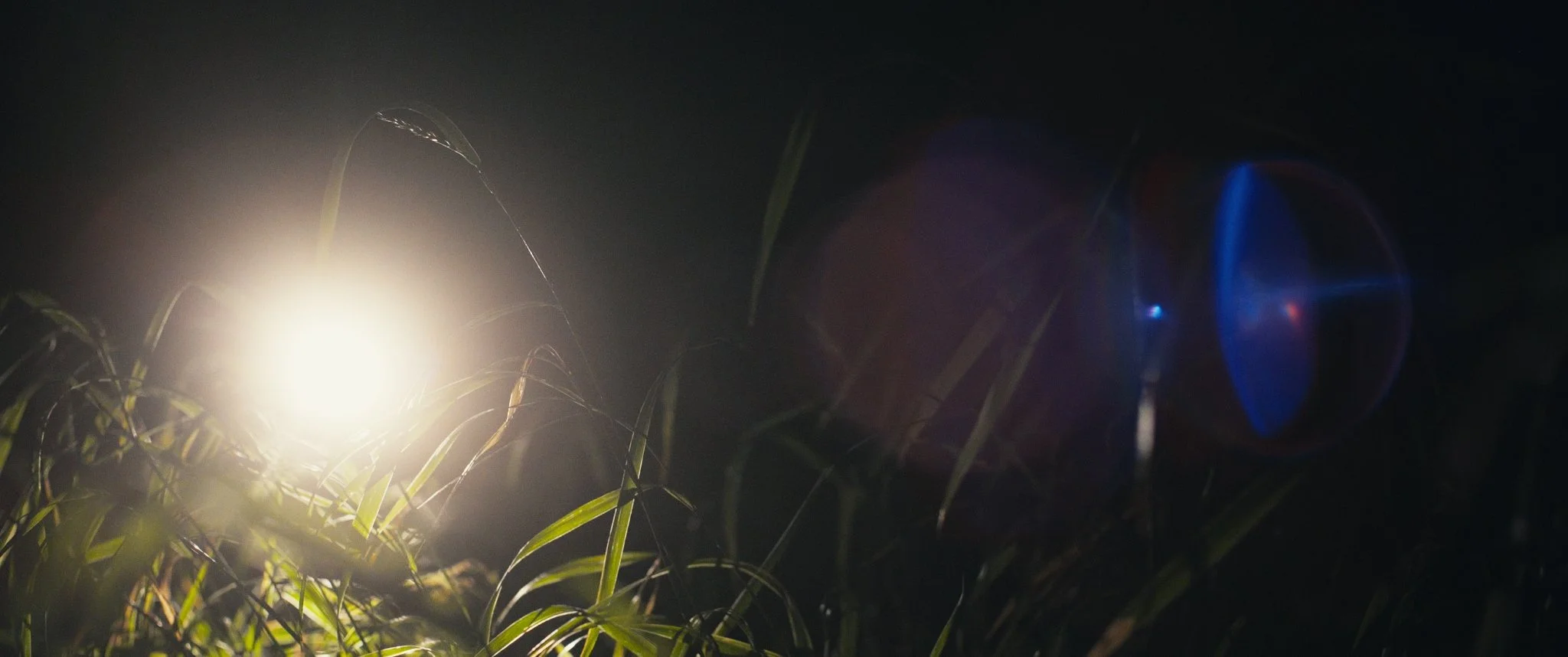 Still 2026-01-19 132947_1.227.1.jpg