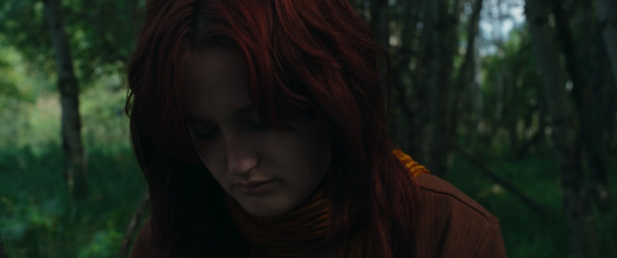 Still 2026-01-19 132947_1.148.1.jpg