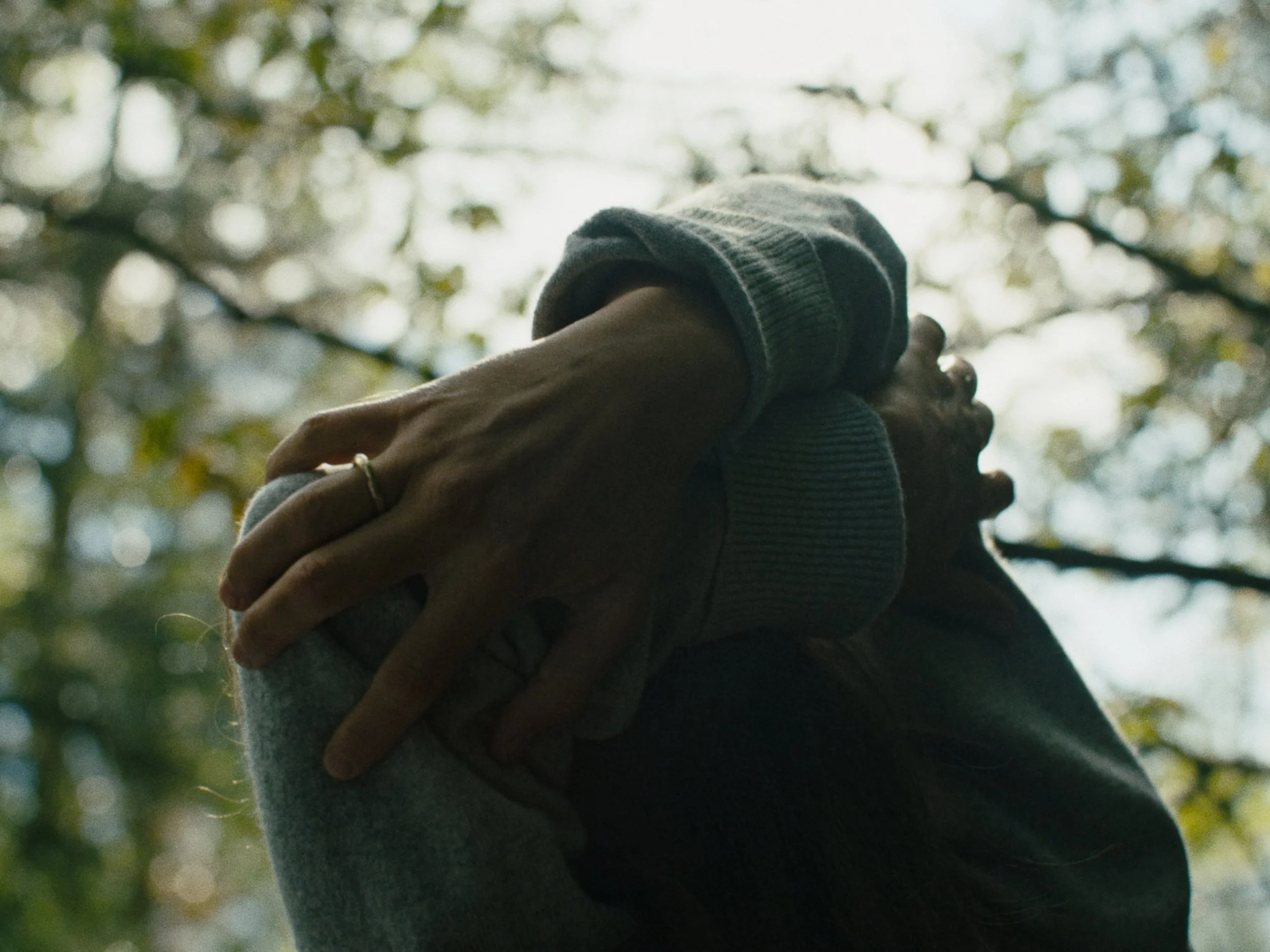 Deciduous Still_1.10.1.jpg